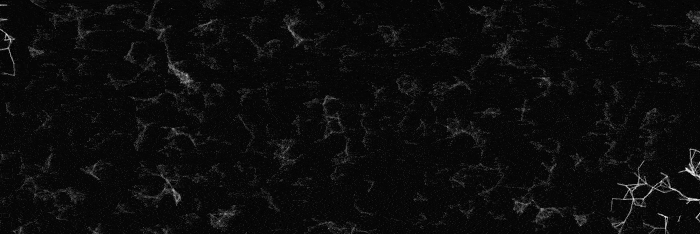 showcase gif